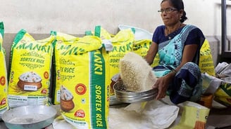 India Lifts Floor Price on Non-Basmati Rice Exports: Impact on Global Markets
