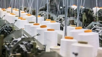 Growth Prospects for India’s Home Textile Industry in Fiscal 2025