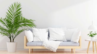 Indoor Palm Quick Guide