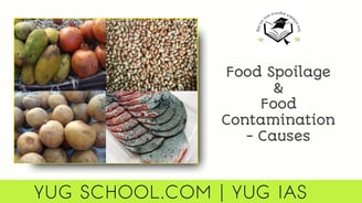 Food Spoilage and Food Contamination - Causes