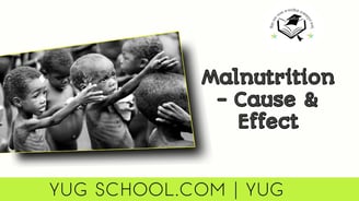 Cause and Effect of Malnutrition