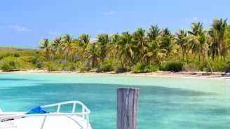 plage paradisiaque isla contoy Paseo Tours