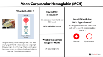 MCV, MCH ve MCHC testleri, kırmızı kan hücrelerinin boyutu, hemoglobin içeriği ve konsantrasyonunu ölçen kan tahlilleridir.