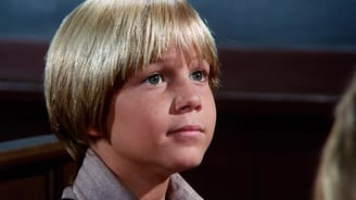 David Friedman in Bless All the Dear Children