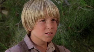 David Friedman in Look Back to Yesterday