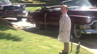 David Friedman in Young Doctors in Love