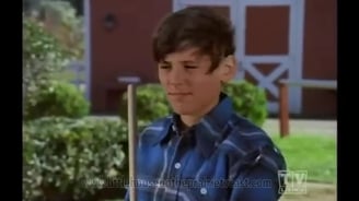 Radames Pera in Lassie (1973)