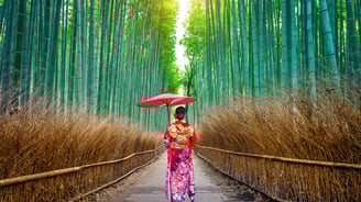 Dress up in kimono for a photoshoot at famed Arashiyama Bamboo Grove of Kyoto