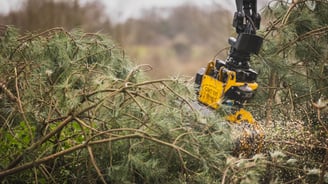 la scierie mobile scie près de l'arbre défriche et entrentien votre terrain