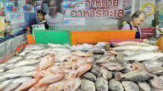 Chumphon public market