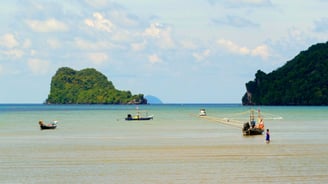 Ban Thong Tanot, Sawi Chumphon