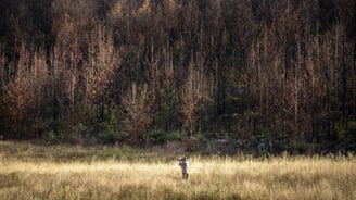 Martin Osner photographing in a golden field at the edge of a burnt forest, camera in hand.