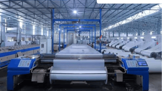 Borana Weaves Share Price