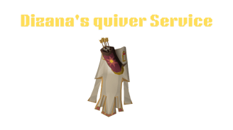 Dizianas quiver serivces