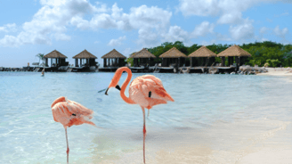 MANCHEBO BEACH ARUBA