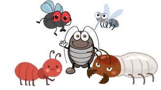 a cartoon of different insect pests