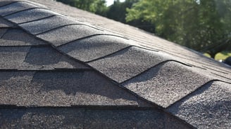 Atlas Shingle Roof