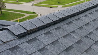 Trueridge Roof Ventilation