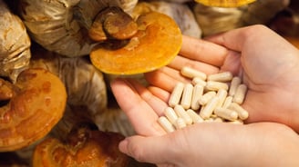 a person holding a handful of pills of mushrooms