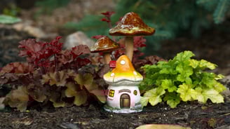 a small house with a mushroom house in the middle of the ground