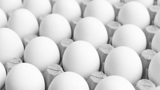 today egg rate in mysore