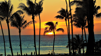 a sunset over the ocean with palm trees from Maui, Hawaii