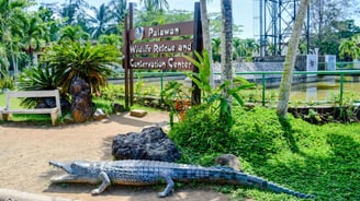 Puerto Princesa Palawan Philippines