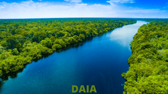 daia - licenciamento para área de app