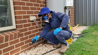 professional pest control treatments Melbourne Gladstone Park 