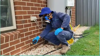 Pest Control technician applying treatment into house wall cavity servicing in Melbourne areas