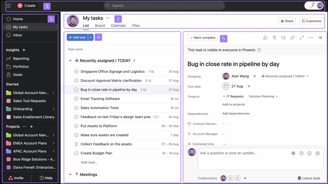 Asana Interface
