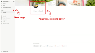 Notion Page