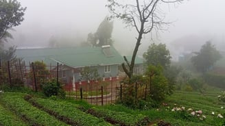 Misty garden and full view of Nobel Bungalow Nuwara Eliya – hillside holiday home in Sri Lanka