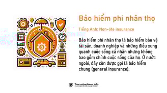 Bảo hiểm phi nhân thọ là gì? Định nghĩa bảo hiểm phi nhân thọ