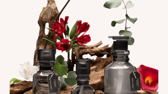 Línea Botalab de Riman con productos naturales para cuidado del cabello y cuerpo 