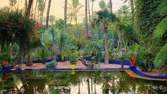 marrakech morocco a pond with a fountain and palm trees