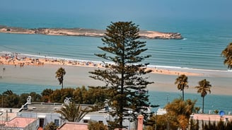 beach oualidia morocco with a view of a beach and palm trees