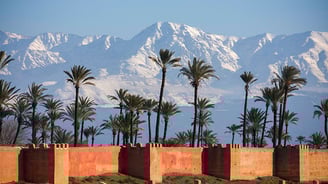 morocco a wall of palm trees and mountains in the background