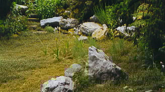 Kalkstein Findlinge im Moosgarten japanisch inspiriert