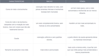 diferenciação sexuais das calopsita pela carcteriticas fisicas