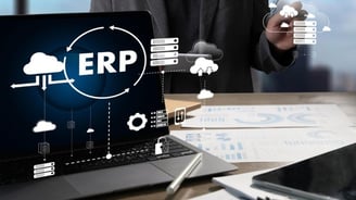 AI Driven ERP Systems Future of Nusaker
