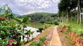 a path leading to a pond with flowers