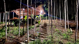 a house with a staircase leading up to a small cabin