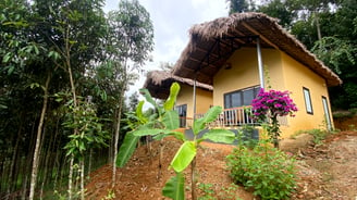 a house with a thatched roof and a thatched roof