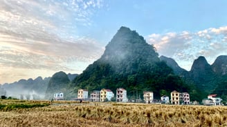 a field with a mountain in the background