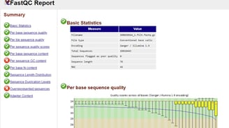 FastQC Report
