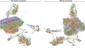 Before and After Batch correction