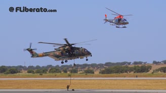 Aeronaves EH-101 Merlin, AW119 Koala