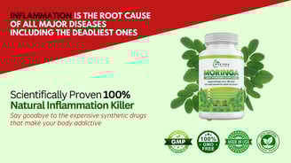 moringa powder benefits