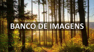 Melhores Bancos de Imagens e Vídeos Grátis: Pexels, Pixabay e Unsplash
